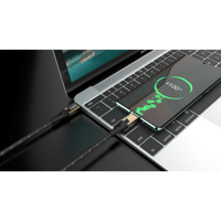 Oehlbach Primus CC variant 2