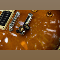 flipears  Aisha Electri variant 2