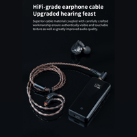 FiiO LS-2.5A/LS-2.5AS variant 2