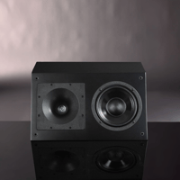 Hsu Research MFL-6 Speaker variant 3