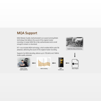 Cayin N7+ variant 15