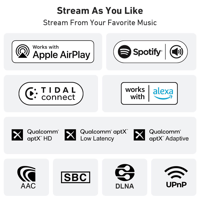 Arylic H50 Wireless Stereo Amplifier variant 6