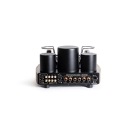 Mastersound Compact 300B variant 4