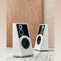 Audiovector Trapeze Reimagined variant 2