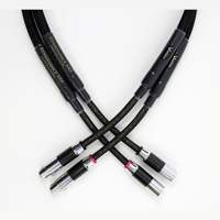 VooDoo Cable Renaissance XRS Single-End and Balanced Interconnect variant 3