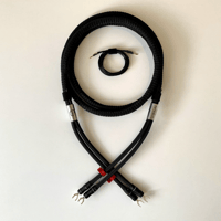 Ikigai Audio Kangai variant 1