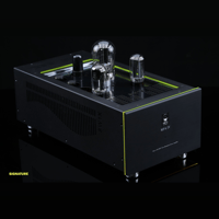 SW1x MPA IV “Aurora” Mono Power Amplifier variant 14