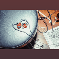 Apos x Cables for Rock Lobster IEM variant 5
