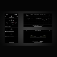Schiit Audio Jotunheim 3 variant 9