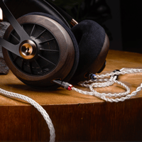 Meze Audio MONO 3.5 MM SILVER-PLATED PCUHD PREMIUM CABLE variant 4