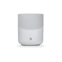 Bluesound PULSE M variant 5