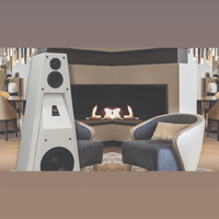 Gershman Acoustics 30th Anniversary Black Swan variant 7