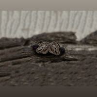 flipears  Legion variant 2