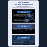 Cayin R2R Audio Motherboard variant 5