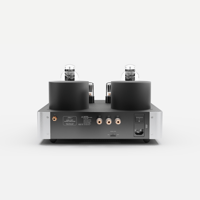 Fezz Audio Mira Ceti Mono Power Amplifier variant 19