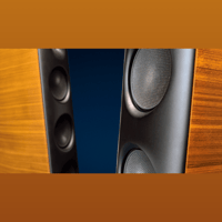 Borresen Acoustics Børresen 03 variant 5