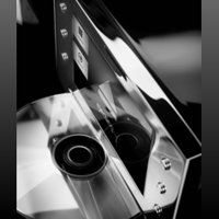 MBL - USA MBL N31 variant 4