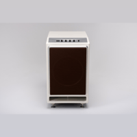 Wilson Audio Submerge variant 5