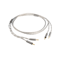 Ansuz Acoustics Speakz - Steel variant 4