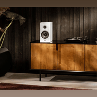 Polk Audio Reserve R200 variant 5
