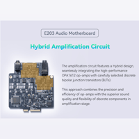 Cayin N6iii variant 18