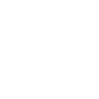 Sonus Faber Arena 1 variant 9
