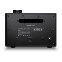 Astell & Kern ACRO BE100 variant 8