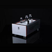 SW1x MPA IV “Aurora” Mono Power Amplifier variant 19