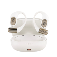 Kiwi Ears Attiva variant 2