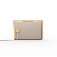 B&O-Bang & Olufsen  Beosound Level variant 1