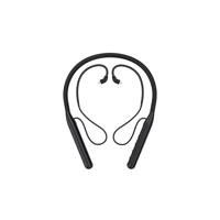 FiiO LC-BT2 variant 1