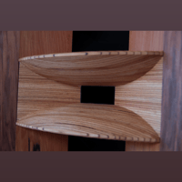 Blumenhofer Acoustics Gran Gioia 2x10" variant 4