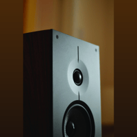 Acoustic Energy corinium variant 12