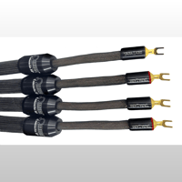 Tara Labs The Omega Concerto variant 1