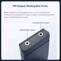 Cayin R2R Audio Motherboard variant 9