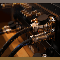 Cayin Pearl 30i variant 4