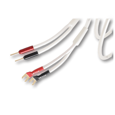Atlas Cables Equator Achromatic Speaker Z/S 2.0