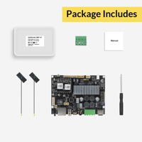 Arylic Up2Stream Amp Mono - Multiroom Wireless Streaming Mono Amplifier Board variant 7