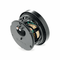 Focal 300 ICW4 variant 5