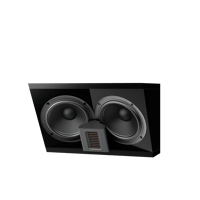Steinway Lyngdorf X-262c variant 1