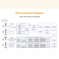 Cayin C9ii variant 30