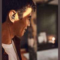 Sennheiser IE 600 variant 3