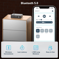 Arylic B50 SE Bluetooth Stereo Amplifier variant 5