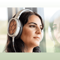 Warwick Acoustics Sonoma Headphone System variant 2