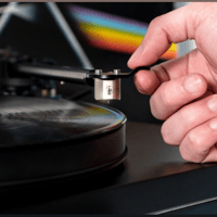 Gold Note donatello variant 5