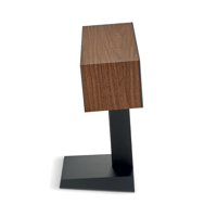 Focal Theva Center variant 6