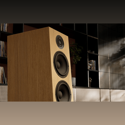 Marten Dexter Trio
