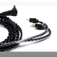 64 Audio 64" 2-Pin Professional Cable variant 2