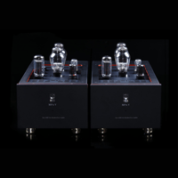 SW1x MPA V “Atlas” PP Mono Power Amplifier variant 1