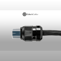 Faber's Cables level3 - Power Supply variant 5